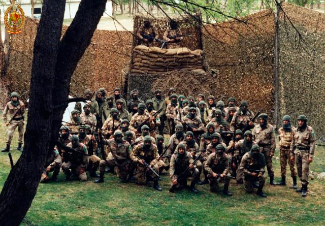Maniobras y Guerrillas078.jpg